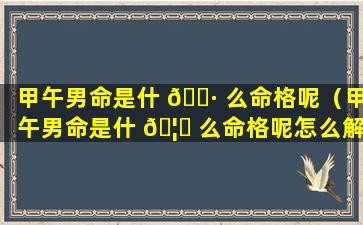 甲午男命是什 🌷 么命格呢（甲午男命是什 🦈 么命格呢怎么解释）